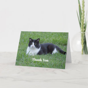 Carte De Remerciements Photo de chat en noir et blanc