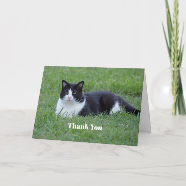 Carte De Remerciements Photo de chat en noir et blanc (Devant)