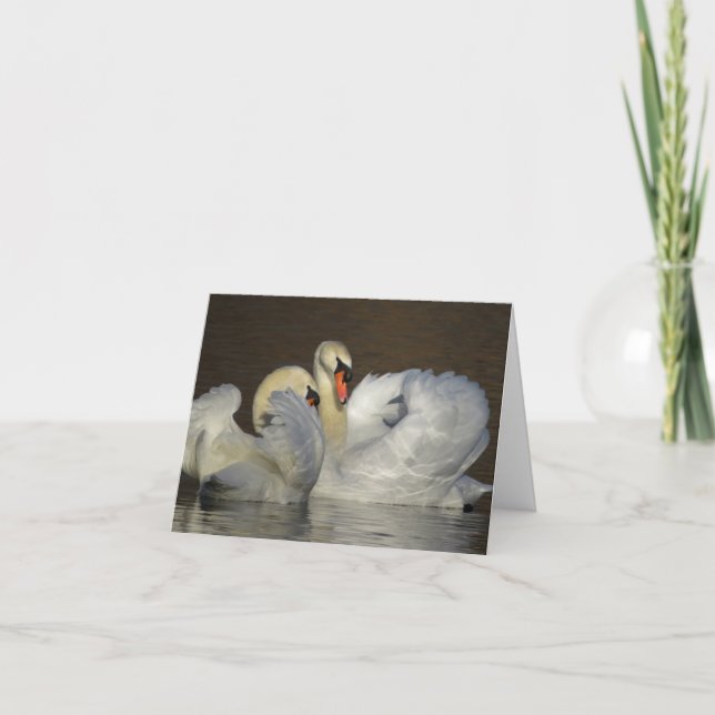 Carte De Remerciements Photo de couple de cygne blanc (Devant)