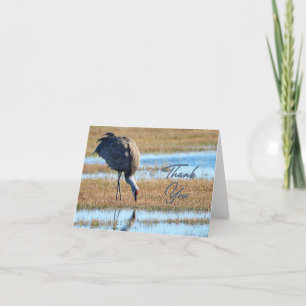 Carte de remerciements photo de grue de Sandhill