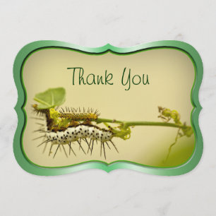 Carte De Remerciements Photo de nature de plan rapproché de Caterpillar