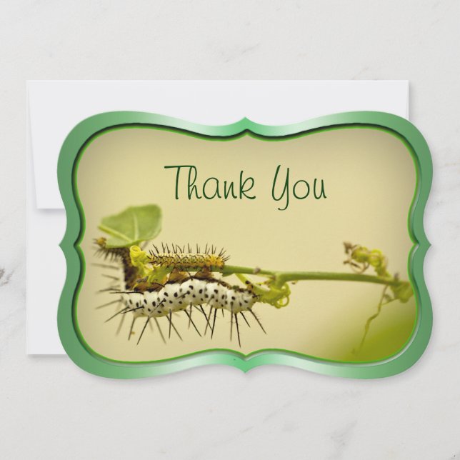Carte De Remerciements Photo de nature de plan rapproché de Caterpillar (Devant)