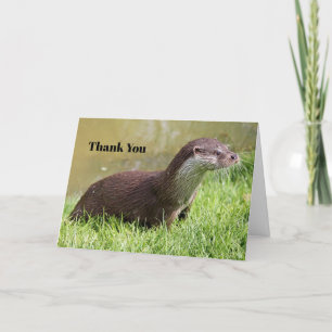 Carte De Remerciements Photo de Otter Grass Wildlife