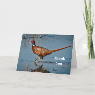 Carte De Remerciements Photo de Pheasant Blue Water