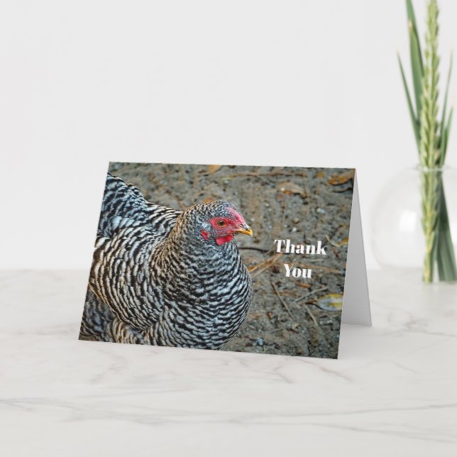 Carte De Remerciements Photo de poulets noirs et blancs (Devant)