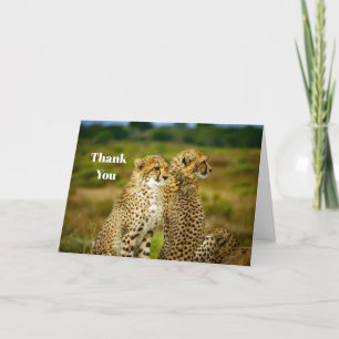 Carte De Remerciements Photo de Wildlife Cheetah