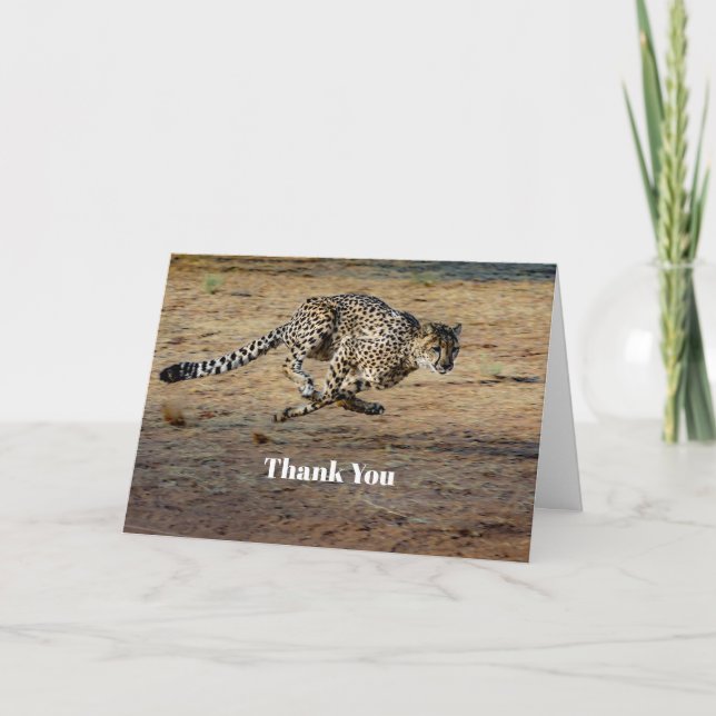 Carte De Remerciements Photo de Wildlife Cheetah Running (Devant)