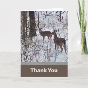 Carte de remerciements photo Deer in Snow