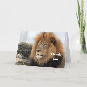Carte De Remerciements Photo du lion de la faune