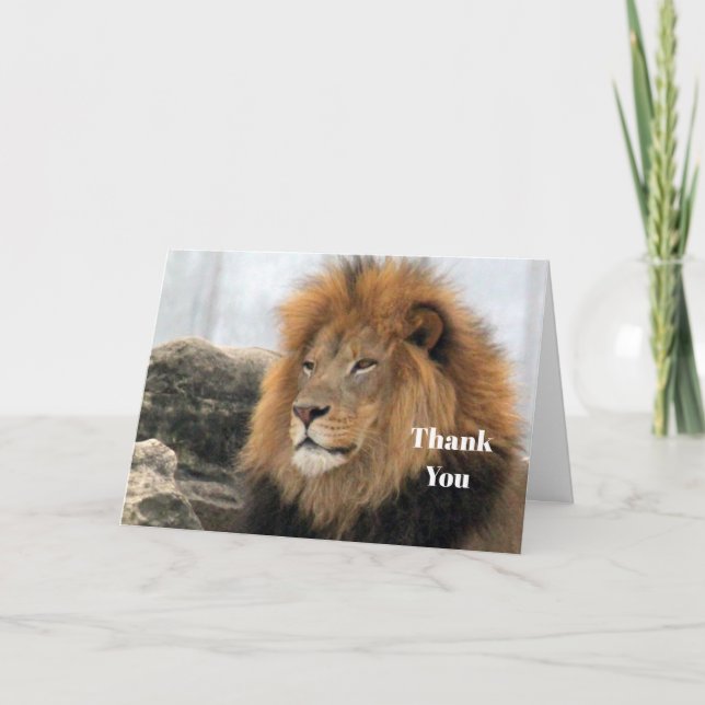 Carte De Remerciements Photo du lion de la faune (Devant)