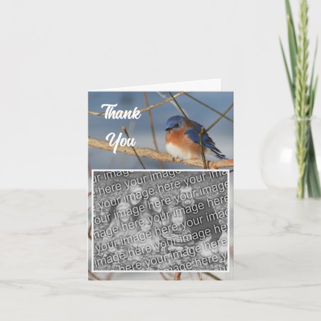 Carte De Remerciements Photo Mariage de Bluebird d'hiver (Devant)