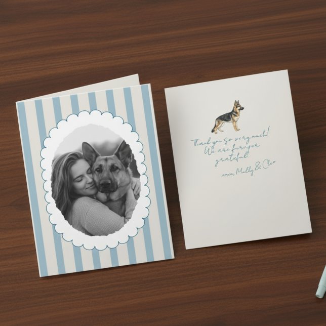 Carte De Remerciements Photo personnalisée Bleu rayé berger allemand (Send many thanks with a personalized touch! )