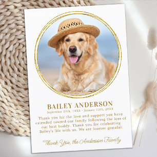 Carte De Remerciements Photo personnalisée Pet Memorial Sympathie élégant
