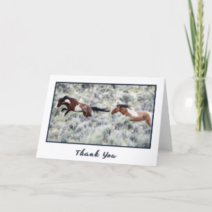 Carte de remerciements photo Racing Wild Stallions