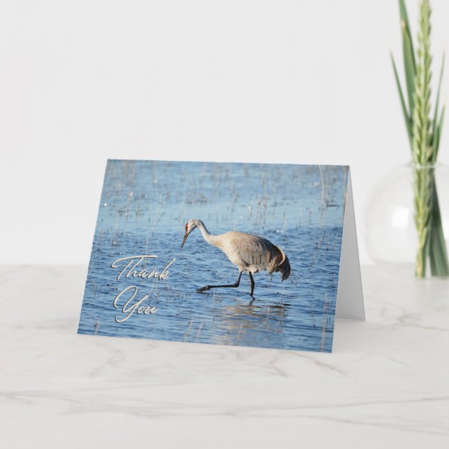 Carte de remerciements photo Sandhill Crane Wading (Devant)