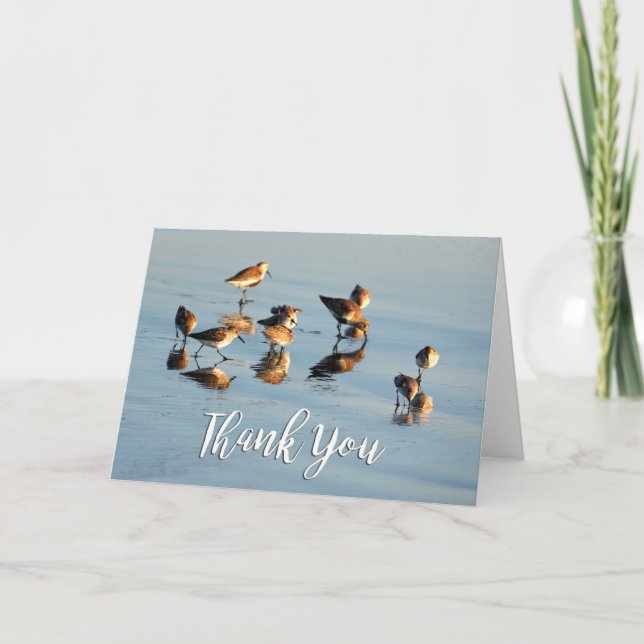 Carte de remerciements photo Sandpipers (Devant)