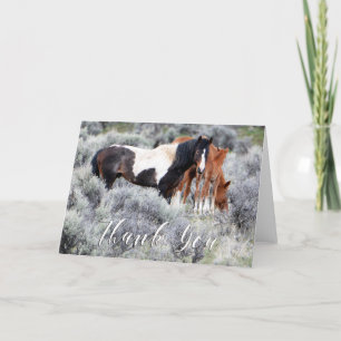 Carte de remerciements photo Wild Mustangs