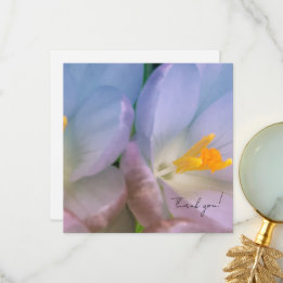 Carte De Remerciements Photographie de crocus de printemps