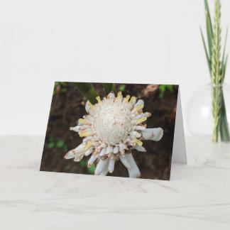 Carte De Remerciements Photographie de paysage naturel hawaïen