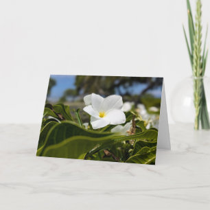Carte De Remerciements Photographie de paysage naturel hawaïen