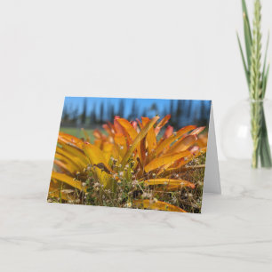 Carte De Remerciements Photographie de paysage naturel hawaïen