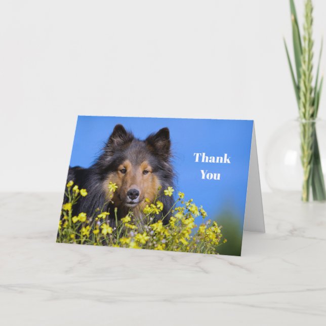 Carte De Remerciements Photographie de Sheltie Floral (Devant)