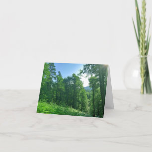 Carte De Remerciements Photographie du paysage de la forêt verte