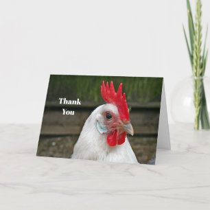 Carte De Remerciements Photos du coq de la tête blanche de poulet