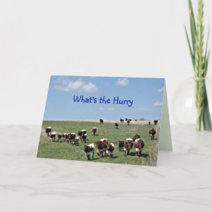 Carte De Remerciements Pinzgauer Cattle Herd 8372 -customisez toute occas