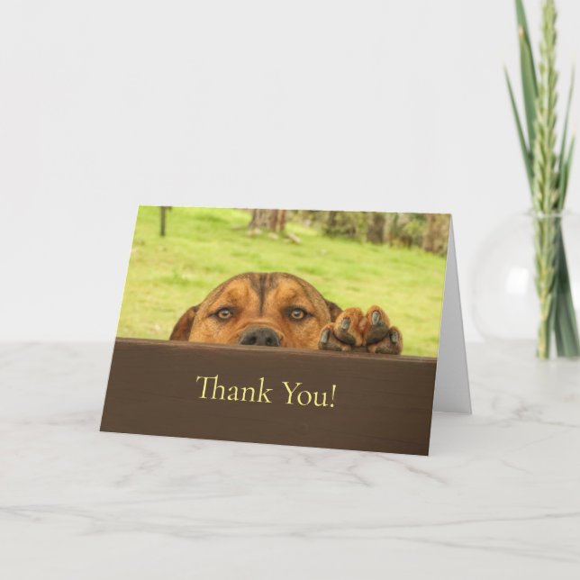 Carte de remerciements Pit Bull pour animal assis (Devant)