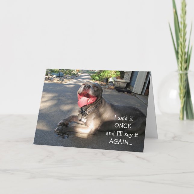 Carte de remerciements Pitbull souriant (Devant)
