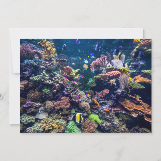 Carte De Remerciements Plages tropicales | Corail sous-marin Reef (Devant)