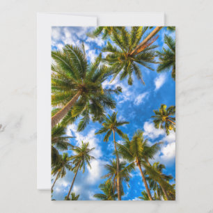Carte De Remerciements Plages tropicales   Palmiers sur le ciel bleu