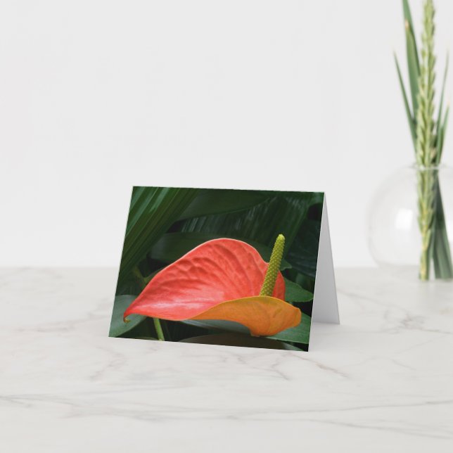 Carte De Remerciements Plante de l'anthurium rouge contre le feuillage (Devant)