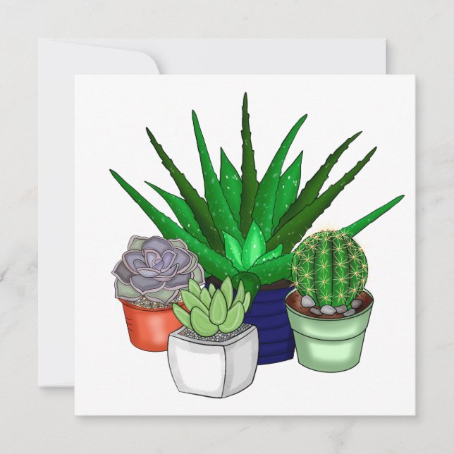 Carte De Remerciements Plantes de maison | Succulents (Devant)