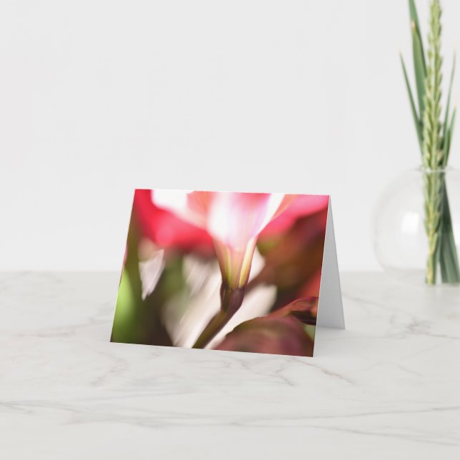 Carte de remerciements plié floral (Devant)