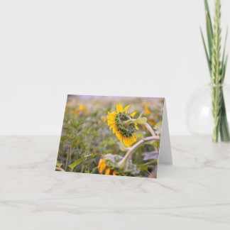 Carte de remerciements pliée de tournesol en lacet