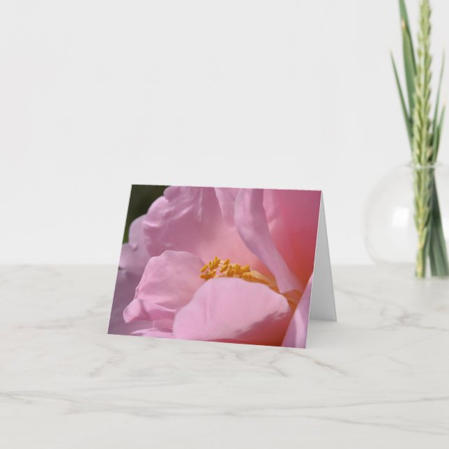 Carte de remerciements pliée en Camellia rose (Devant)