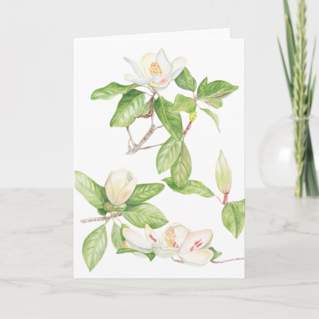 Carte de remerciements pliée Magnolia (Devant)