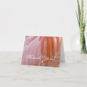 Carte De Remerciements Plumes de Flamant rose dans les tons roses