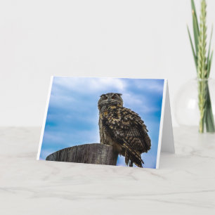 Carte De Remerciements Plumes d'oiseau de hibou Animal Nature Destin Paix