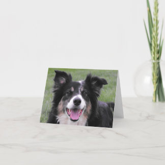 Carte De Remerciements Portrait de border collie