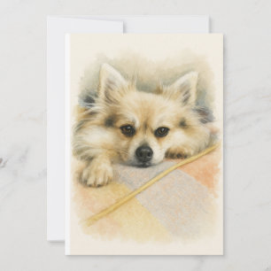 Carte De Remerciements Portrait de chien Chihuahua Pomeranian à l'aquarel