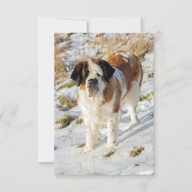 Carte De Remerciements Portrait de Saint Bernard (Devant)