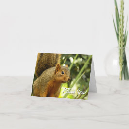 Carte De Remerciements Portrait d'un écureuil Nature Animal Photographie