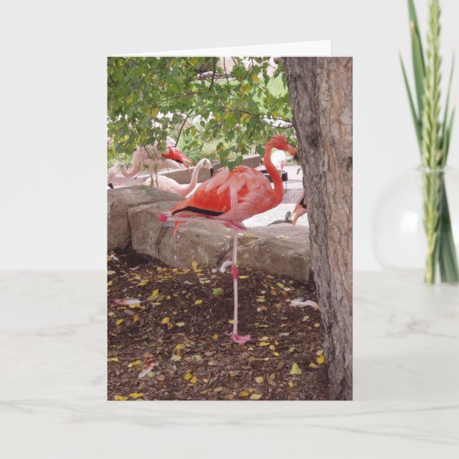 Carte de remerciements "Poster le Flamant rose" (Devant)