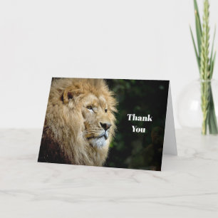 Carte De Remerciements Profil du lion photo de la faune
