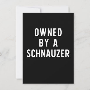 Carte De Remerciements Propriété De Schnauzer Funny Dog Lover Cadeau Noël