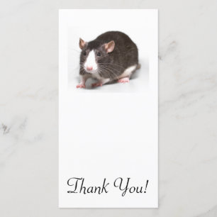 Carte De Remerciements Rat Brown avec la flamme blanche sur le nez