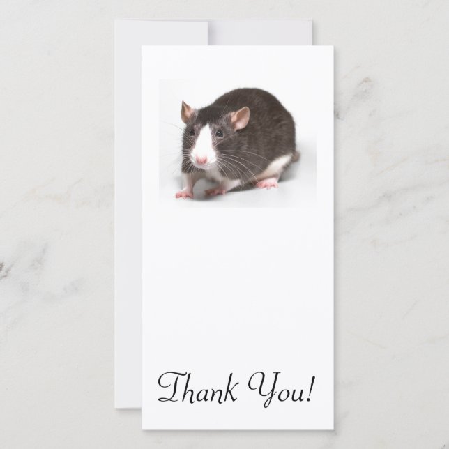Carte De Remerciements Rat Brown avec la flamme blanche sur le nez (Devant)